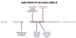 Đọc kèo handicap dễ dàng cho cả người mới tham gia